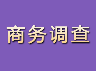 江门商务调查